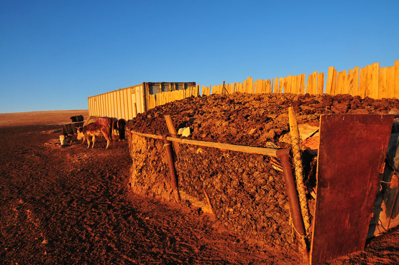 Mongolie